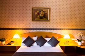 Best Western Beauséjour - photo 8