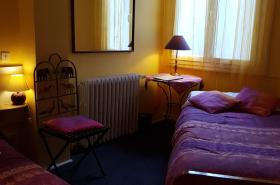 Hôtel du Centre - photo 6