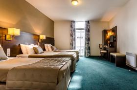 Hôtel Croix des Bretons - photo 26